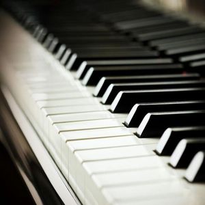 91视频永久免费
